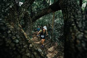 BIB: 
                            <button type="button" onclick="openModal(25392352)" class="btn btn-primary btn-sm float-right btn-popup" data-toggle="modal" data-target=".modal-high-quality">
                        <i class="fas fa-shopping-cart"></i> Add to Cart
                    </button>
                                            <button type="button" onclick="isThisMe(25392352, true)" class="btn btn-success btn-sm float-right btn-popup btn-isme hidden" data-toggle="tooltip" data-placement="bottom" title="นี่คือรูปของคุณใช่ไหม คลิกที่นี่เพื่อเอาเข้าอัลบั้ม">
                        <i class="fas fa-plus"></i> Add to album
                    </button>
                    <button type="button" onclick="isThisMe(25392352, false)" class="btn btn-warning btn-sm float-right btn-popup btn-isnotme hidden">
                        <i class="fas fa-ban"></i> Remove from album
                    </button>